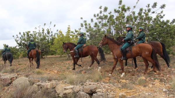 300 Efectivos Buscan A Una Mujer Desaparecida En Navarrés 300 Efectivos Buscan A Una Mujer Desaparecida En Navarrés