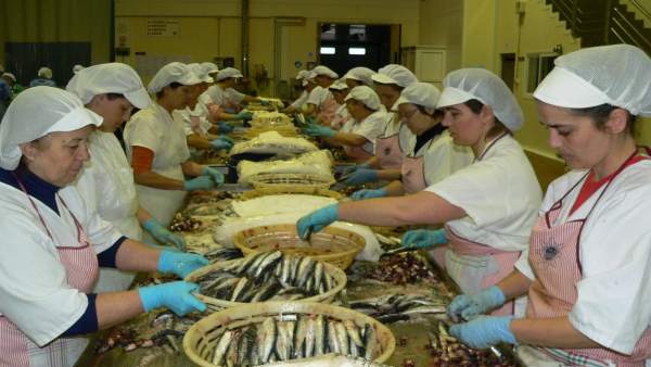 Trabajadoras Fábrica De Anchoa Trabajadoras Fábrica De Anchoa