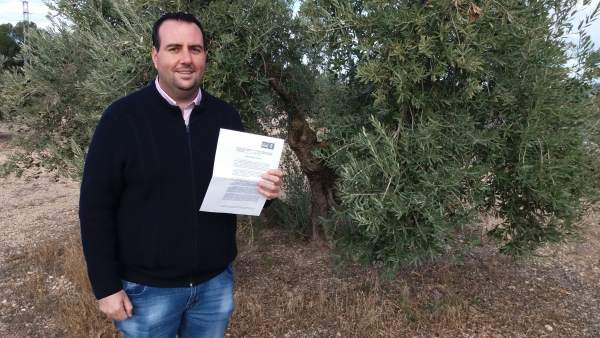 El secretario de Organización del PSOE de Granada, Álex Casares. El secretario de Organización del PSOE de Granada, Álex Casares.