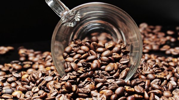 Café Café