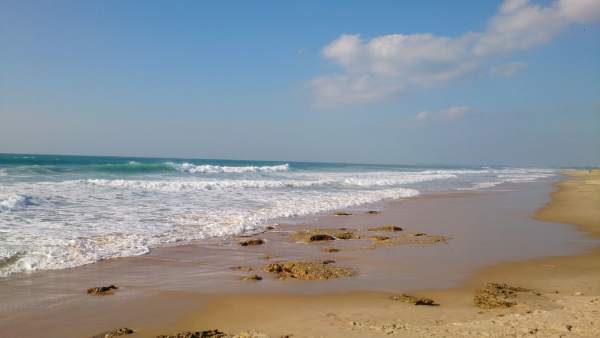 Playa de El Palmar (Cádiz) Playa de El Palmar (Cádiz)