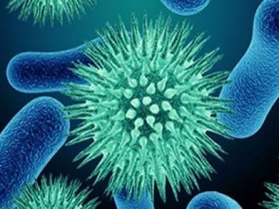 Virus y bacterias