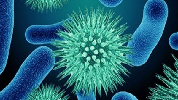 Virus y bacterias Virus y bacterias