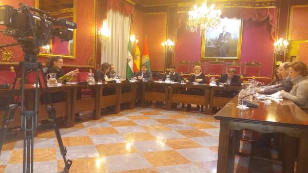 Comisión municipal de Cultura Comisión municipal de Cultura