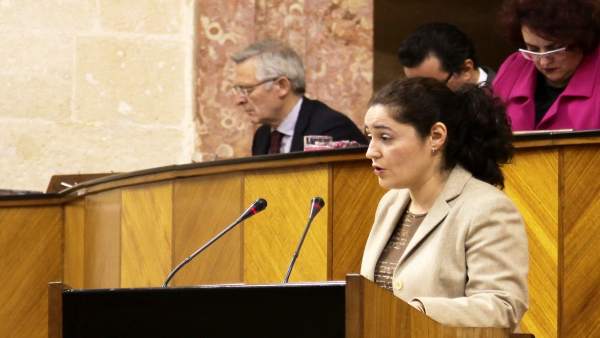 La parlamentaria de IU, Inmaculada Nieto La parlamentaria de IU, Inmaculada Nieto