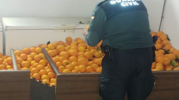 La Guardia Civil recupera 2.500 kilos de naranjas que habían sido robadas. La Guardia Civil recupera 2.500 kilos de naranjas que habían sido robadas.