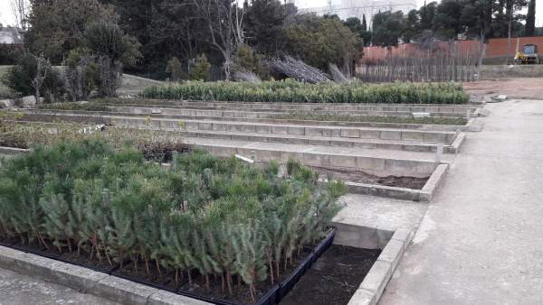 La DPZ distribuye 50.000 plantas a los municipios de la provincia La DPZ distribuye 50.000 plantas a los municipios de la provincia