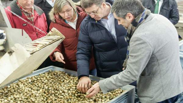 El presidente de la Xunta, Alberto Núñez Feijóo, visita la lonja de Noia El presidente de la Xunta, Alberto Núñez Feijóo, visita la lonja de Noia