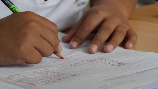Estudiante Estudiante