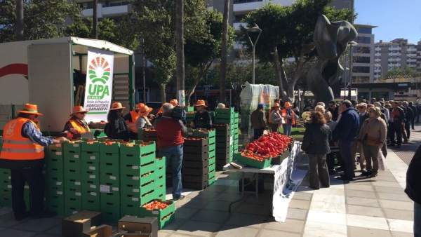La Unión de Pequeños Agricultores reparte hortalizas en Almería La Unión de Pequeños Agricultores reparte hortalizas en Almería