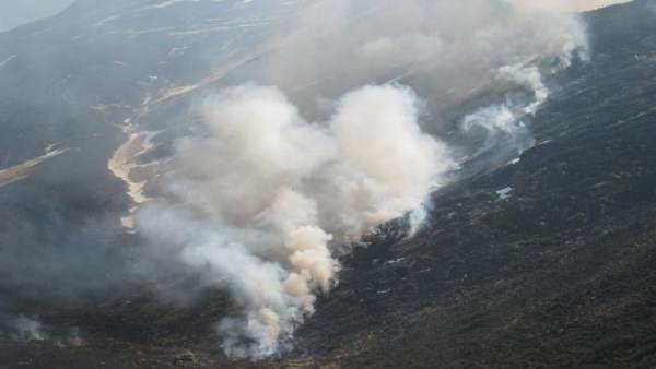 Incendios forestales Incendios forestales