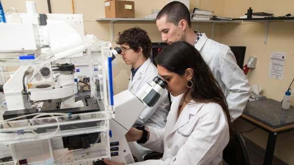 Investigadores Investigadores