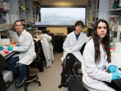 Investigadores