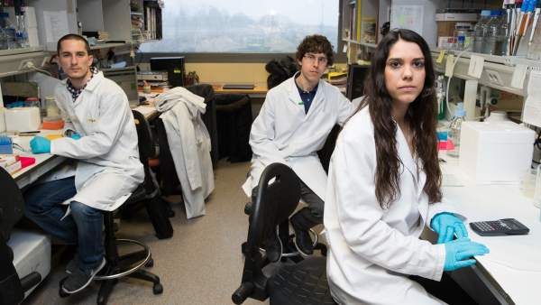 Investigadores Investigadores