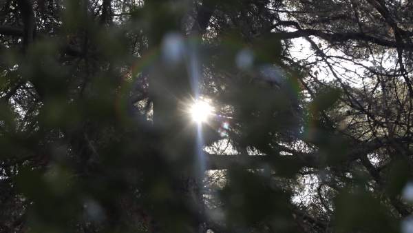 Les temperatures màximes arriben als 24 graus a la Comunitat Valenciana Les temperatures màximes arriben als 24 graus a la Comunitat Valenciana