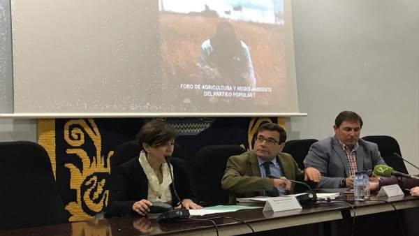 Foro PP Foro PP