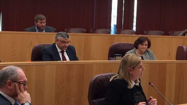 Inmaculada Hernández, portavoz adjunta del PP en la Diputación Inmaculada Hernández, portavoz adjunta del PP en la Diputación
