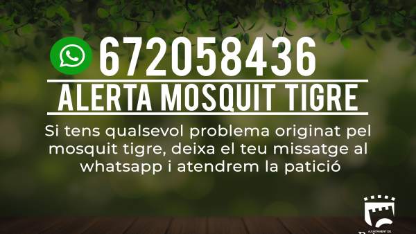 Whatsapp para incidencias sobre el mosquito tigre Whatsapp para incidencias sobre el mosquito tigre