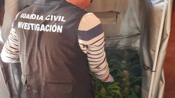 Plantas intervenidas Plantas intervenidas