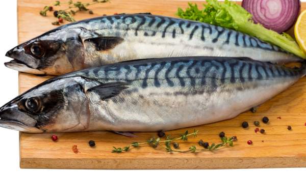 Pescado Pescado