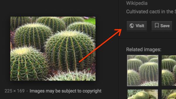 Google elimina el botón 'Ver imagen' Google elimina el botón 'Ver imagen'