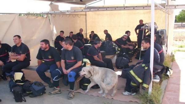 Bomberos de la Diputación de Sevilla Bomberos de la Diputación de Sevilla