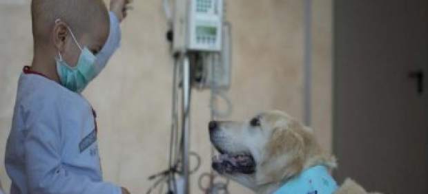 PROGRAMA DE VOLUNTARIADO LA FE CON PERROS DE ASISTENCIA «CAN DE LA MANO»