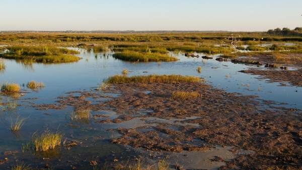 Parque natural de s'Albufera de Mallorca Parque natural de s'Albufera de Mallorca