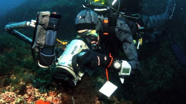 Buceo en aguas de la Comunitat Valenciana Buceo en aguas de la Comunitat Valenciana
