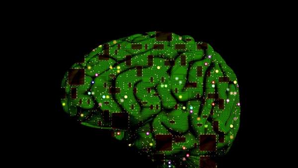 El cerebro libera dopamina para actualizar la información inesperada que recibe, según investigadores. El cerebro libera dopamina para actualizar la información inesperada que recibe, según investigadores.