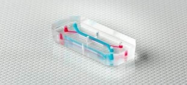 Microorganized Organ-Chip