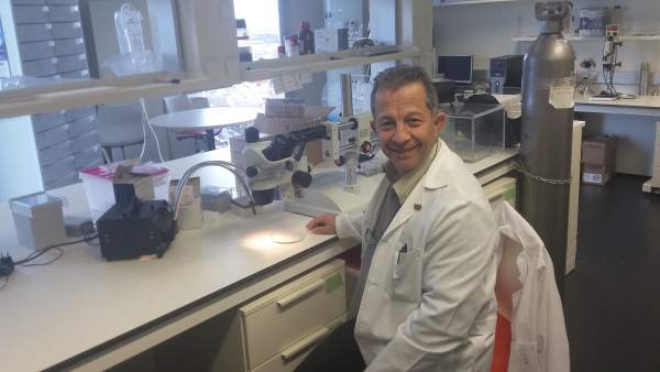 Ugrdivulga Científicos Confirman Que Consumir Melatonina Ayuda A Quemar Más Calo Ugrdivulga Científicos Confirman Que Consumir Melatonina Ayuda A Quemar Más Calo
