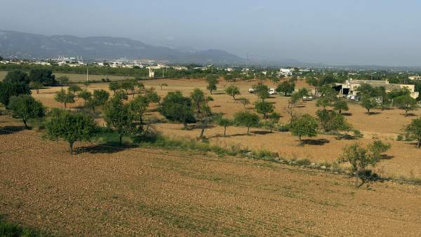 Campo de cultivo Campo de cultivo