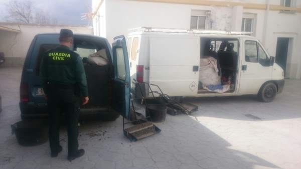 Guardia Civil en operación contra el robo de aceituna en Granada Guardia Civil en operación contra el robo de aceituna en Granada