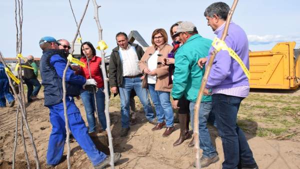 Reparto de árboles en el vivero de la Diputación de Cáceres Reparto de árboles en el vivero de la Diputación de Cáceres