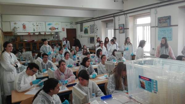Alumnado participante en el SWI Alumnado participante en el SWI