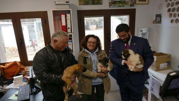 Sánchez Cabrera y la presidenta de la protectora, con los canes. Sánchez Cabrera y la presidenta de la protectora, con los canes.