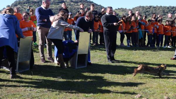Ruiz (centro) libera uno de los linces en Villafranca Ruiz (centro) libera uno de los linces en Villafranca