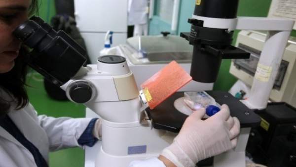 Una de las investigadoras de la UVA. Una de las investigadoras de la UVA.