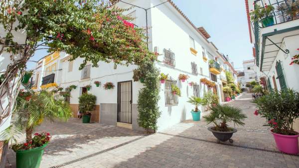 Jardin costa del sol calle tipismo andaluz pueblo estepona ornamental jardinería Jardin costa del sol calle tipismo andaluz pueblo estepona ornamental jardinería