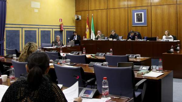 Comisión de Medio Ambiente y Ordenación del Territorio del Parlamento andaluz Comisión de Medio Ambiente y Ordenación del Territorio del Parlamento andaluz