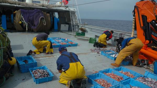 Pesca en el Cantábrico Pesca en el Cantábrico