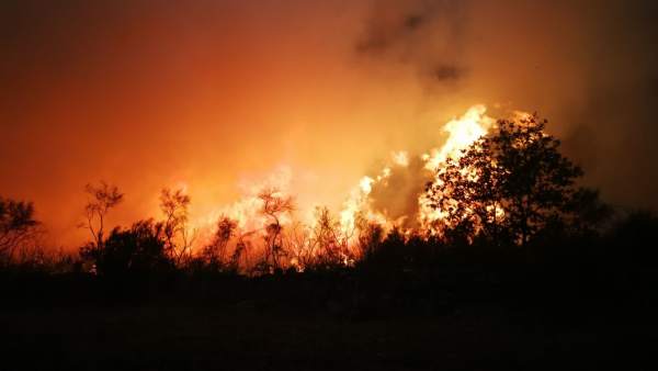Incendio forestal este lunes en la Serra de San Mamede Incendio forestal este lunes en la Serra de San Mamede