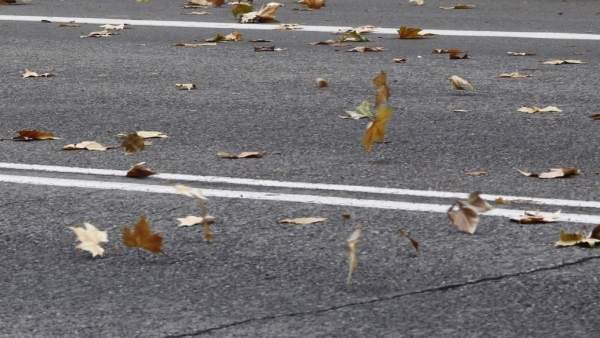 Viento, hojas, otoño, rachas Viento, hojas, otoño, rachas