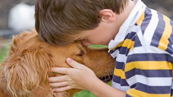 Las mascotas influyen positivamente en los niños Las mascotas influyen positivamente en los niños