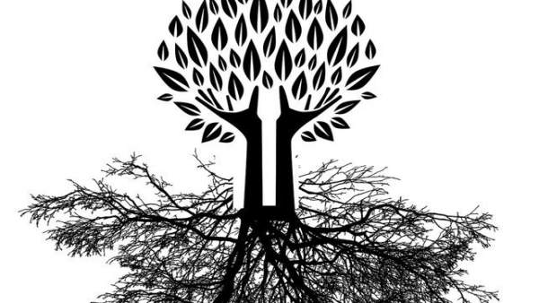 Dendrímeros Dendrímeros