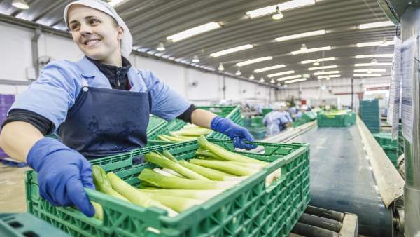 Trabajadora de la Finca Las Lomas en Vejer Trabajadora de la Finca Las Lomas en Vejer