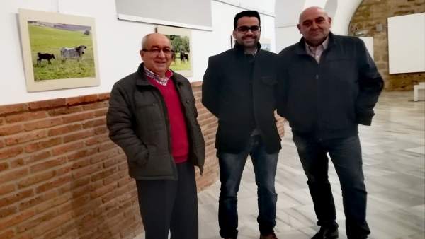 Andrade, Ballester y Ledesma, en la exposición Andrade, Ballester y Ledesma, en la exposición