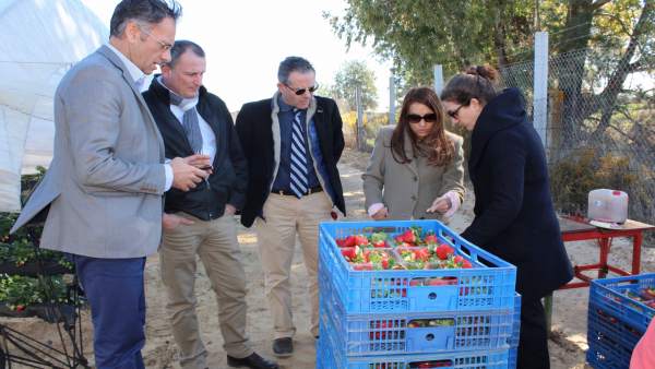 Grupo de contacto de la fresa de Francia, Italia y España, en Huelva. Grupo de contacto de la fresa de Francia, Italia y España, en Huelva.