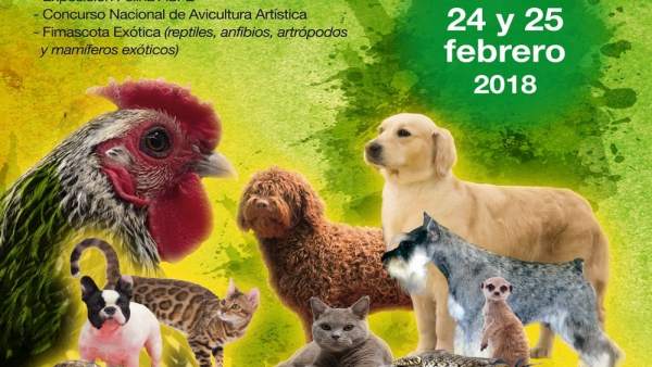 Cartel de Fimascota 2018 Cartel de Fimascota 2018